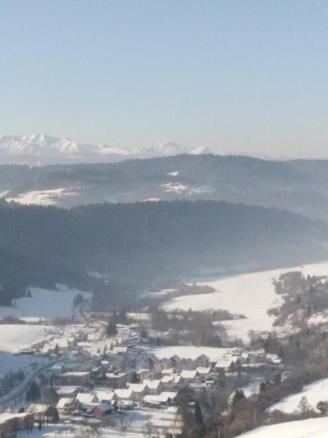 Chata Holica Pieniny Лесница Экстерьер фото