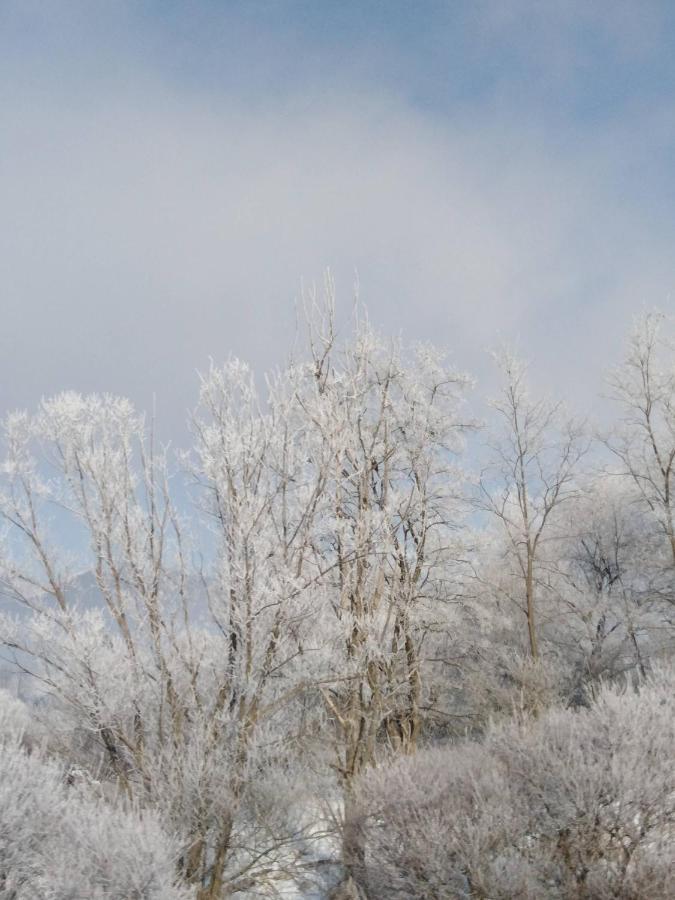 Chata Holica Pieniny Лесница Экстерьер фото