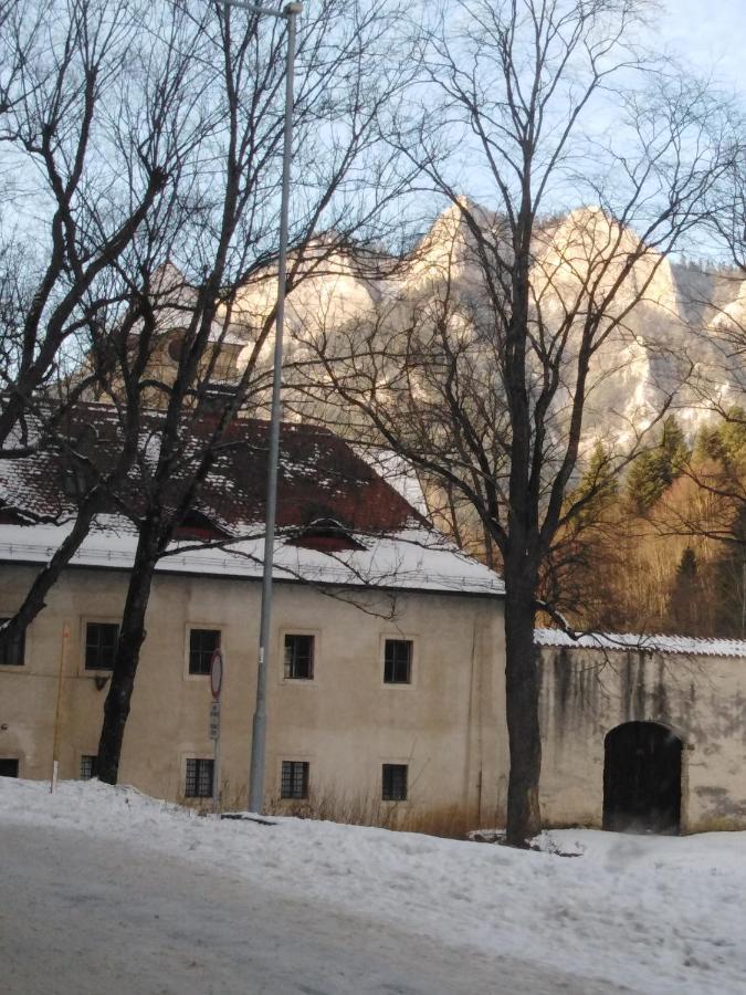 Chata Holica Pieniny Лесница Экстерьер фото