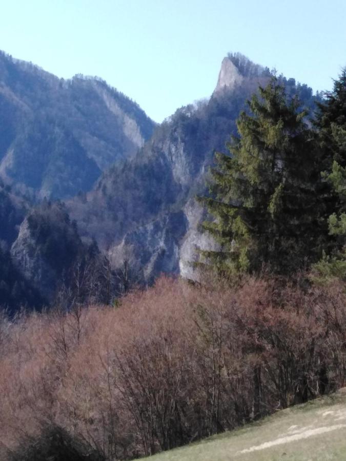 Chata Holica Pieniny Лесница Экстерьер фото