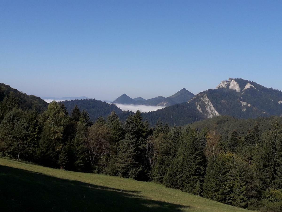 Chata Holica Pieniny Лесница Экстерьер фото