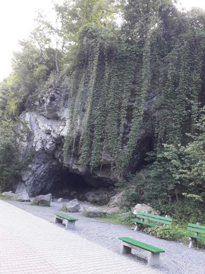 Chata Holica Pieniny Лесница Экстерьер фото