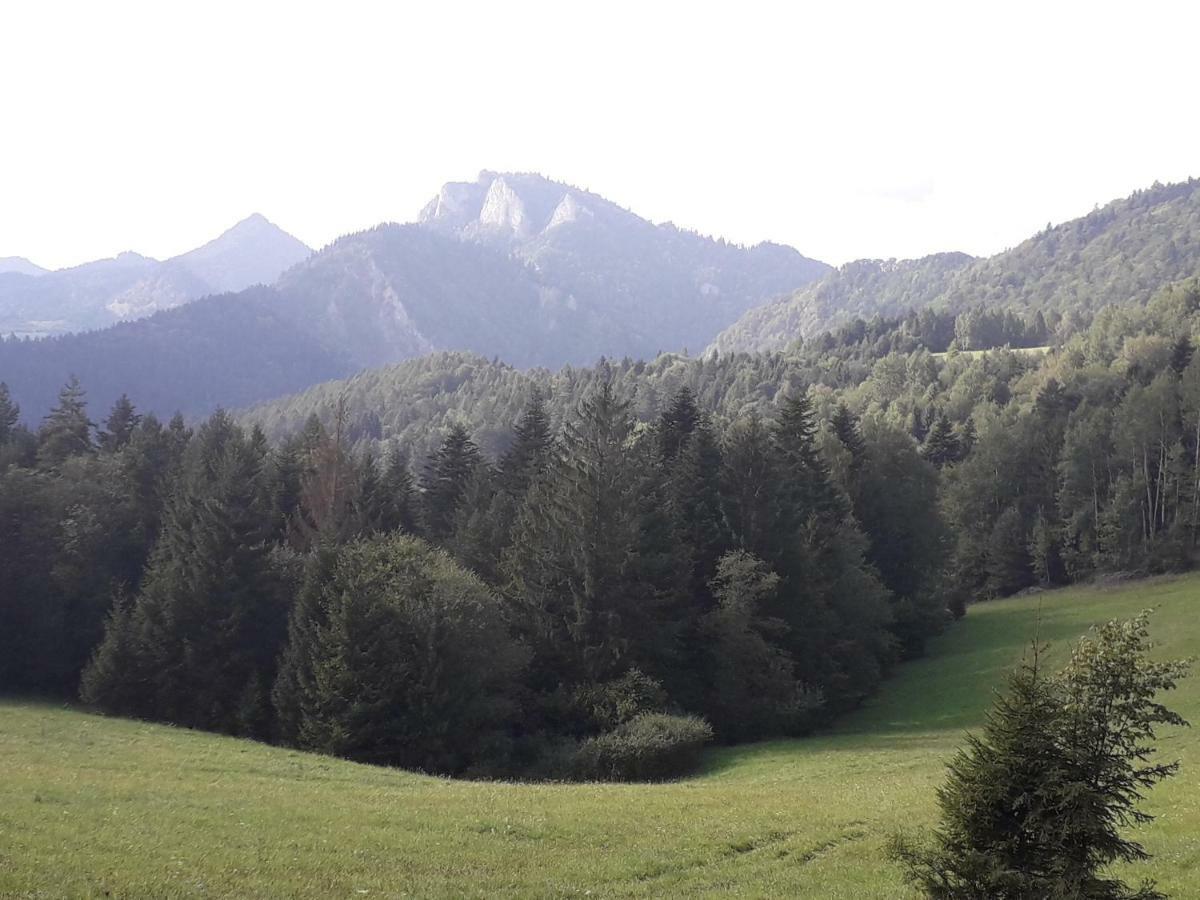 Chata Holica Pieniny Лесница Экстерьер фото